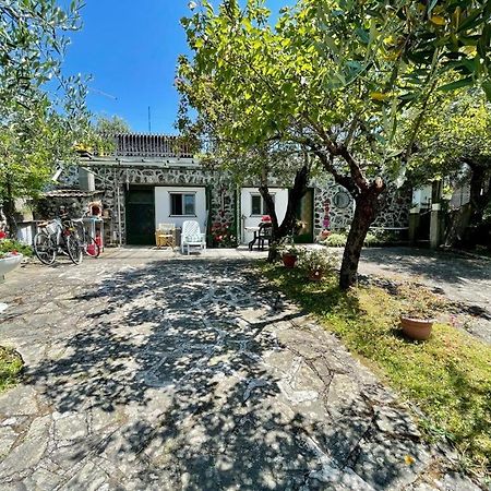 Rosy Apartment - Levanto, 5 Terre Ngoại thất bức ảnh