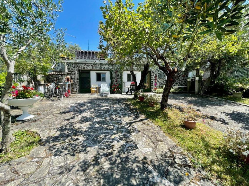 Rosy Apartment - Levanto, 5 Terre Ngoại thất bức ảnh