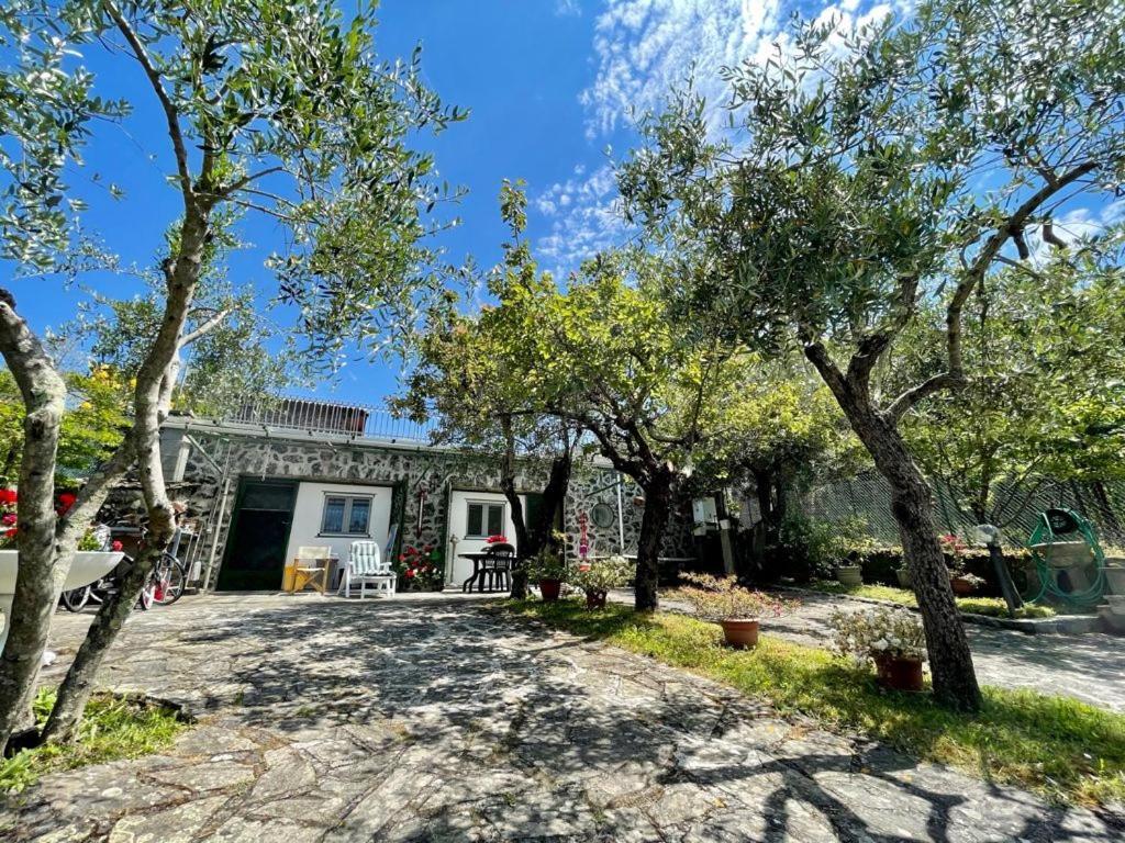 Rosy Apartment - Levanto, 5 Terre Ngoại thất bức ảnh